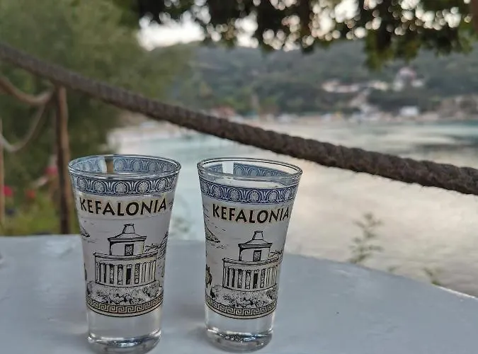 Costa Casa de Férias *